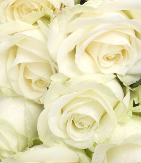 Bouquet de roses – Image 4