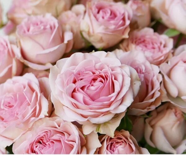 Bouquet de roses – Image 3