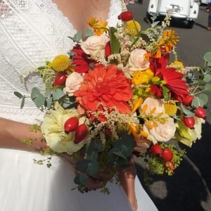 IMG-20190915-WA0001estel-min