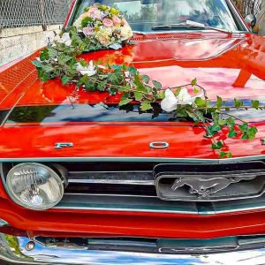 décoration de voiture (mustang) (2)-min