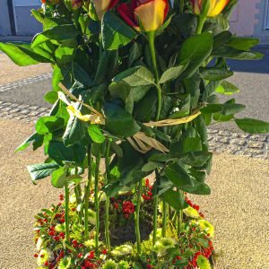 fagot de roses (2)-min