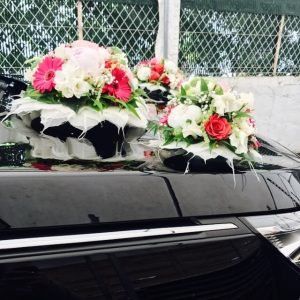 jl-min